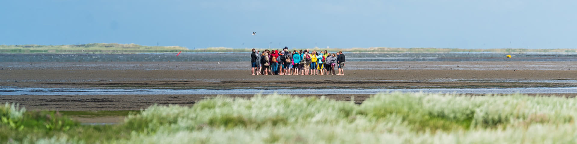 Eine Gruppe macht eine Wattwanderung auf Borkum