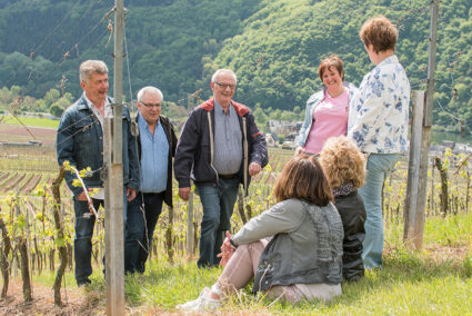 Freudige Stimmung bei einer Gruppe in einem Weinberg in Cochem