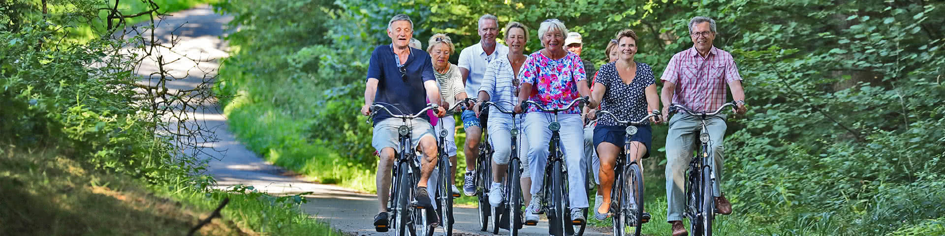 Eine Gruppe macht eine Fahrradtour durch einen Wald