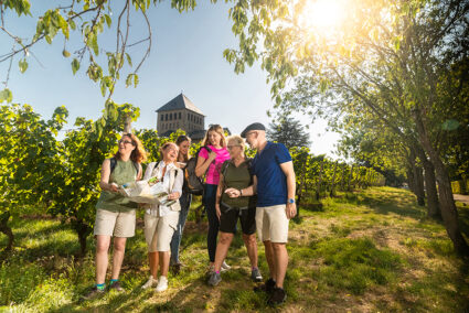 Wanderung durch die Weinberge in Rüdesheim