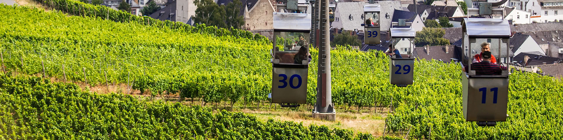 Seilbahnfahrt über die Weinberge in Rüdesheim