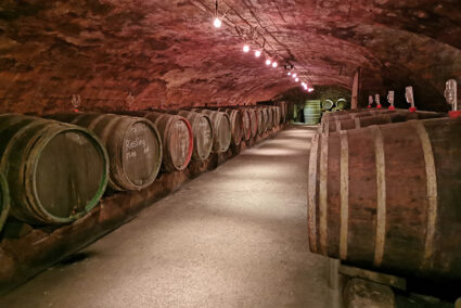 Weinkeller mit Weinfässern auf einem Weingut in Trier