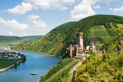 Burg Metternich an der Mosel in Trier