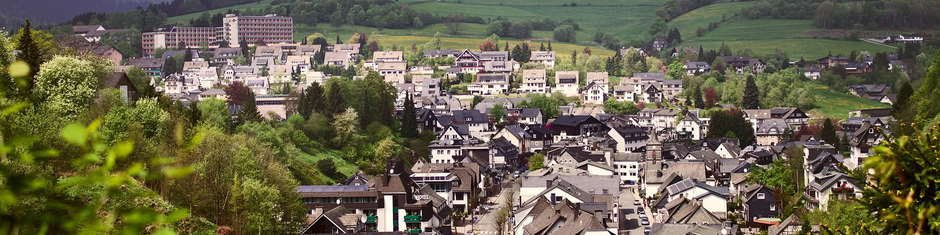 Luftbild Stadt Willingen